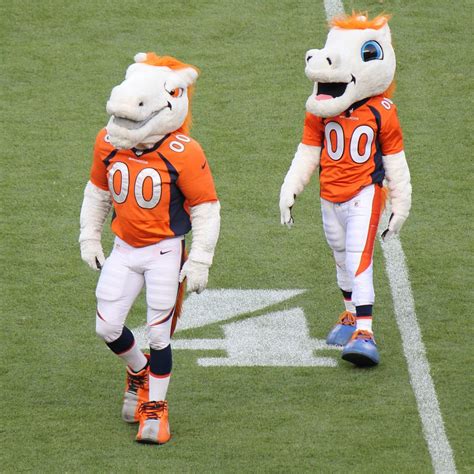 Thunder: The Ultimate Broncos Fan and Mascot